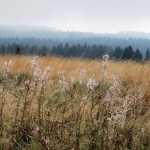 IMG_5257