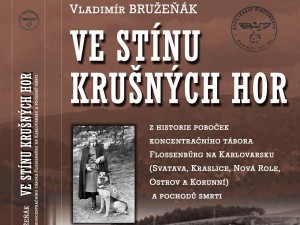 ve-stinu-krusnych hor