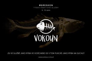 vokoun